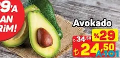AVOKADO ADET AVOKADO ADET